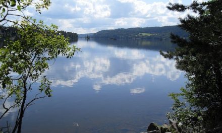 Bingen Lenseminneforening inviterte til  «beversafari» på Teten…