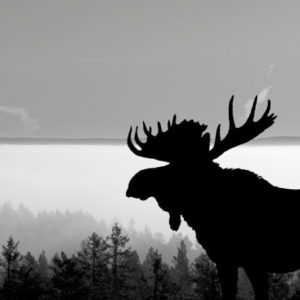 Arstun Vandrerhjem