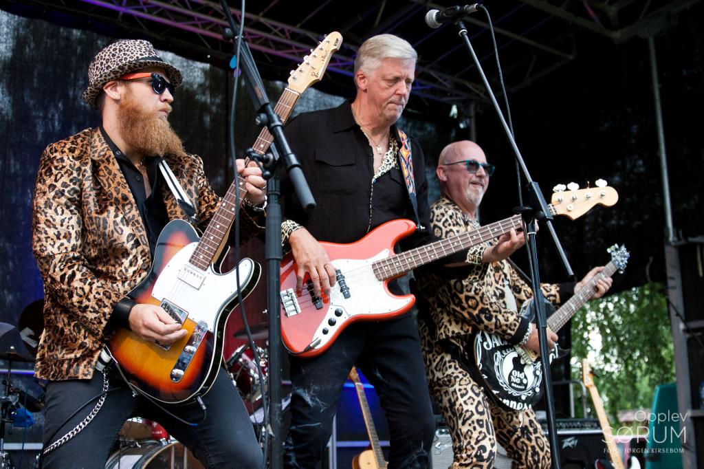 konsertene-blaker-skanse-27