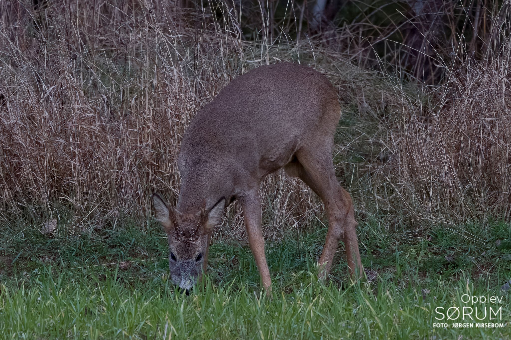 natur-november05