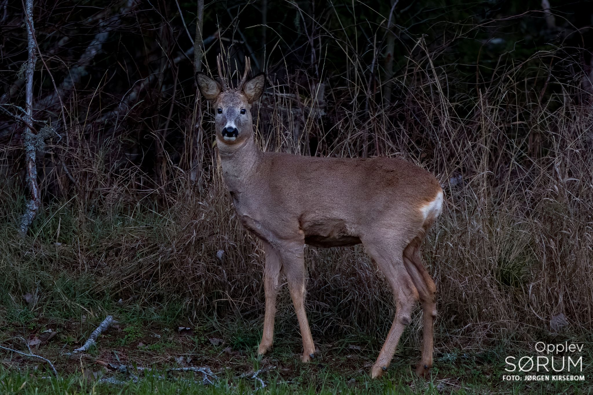 natur-november06