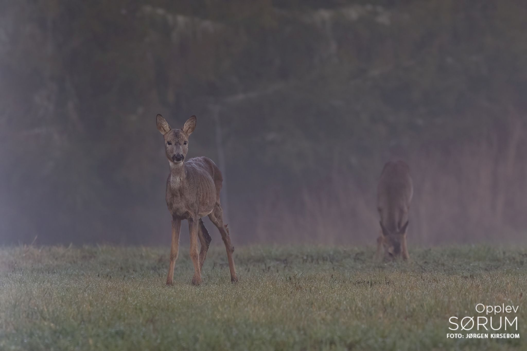 natur-november17