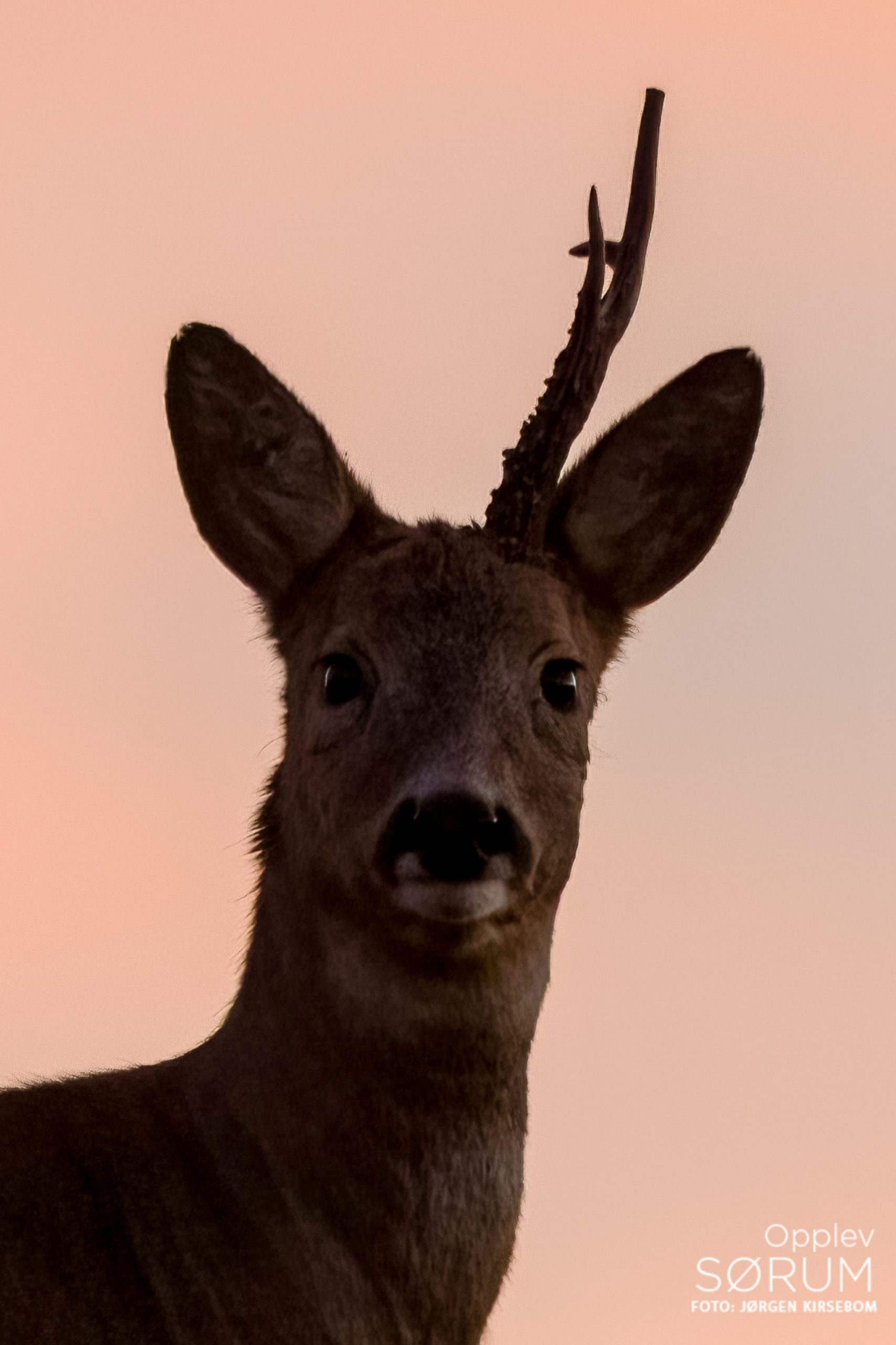 natur-november27