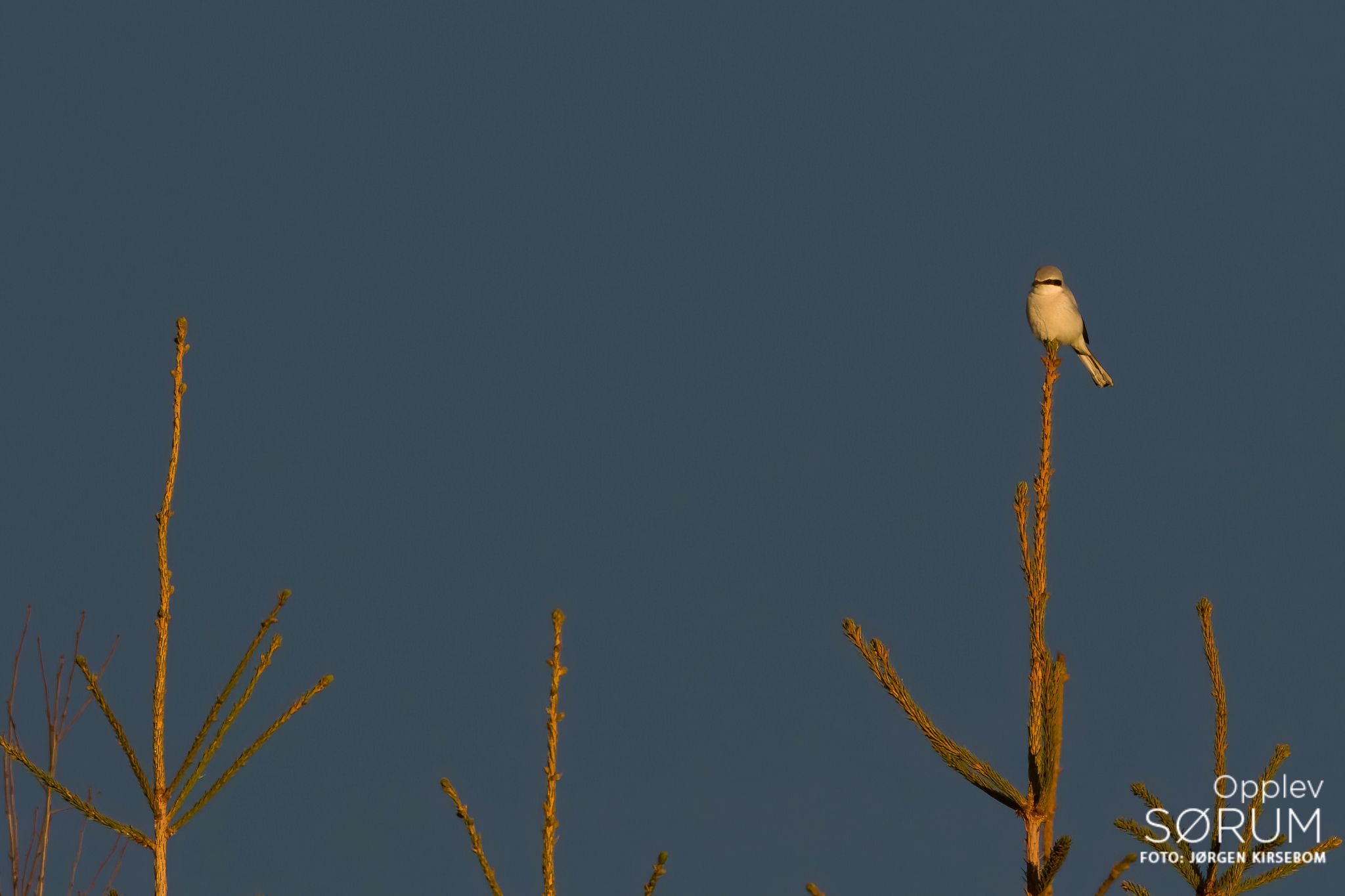 natur-november39