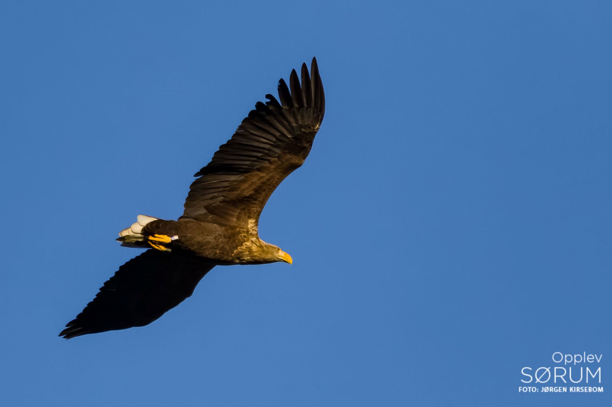 natur-november41