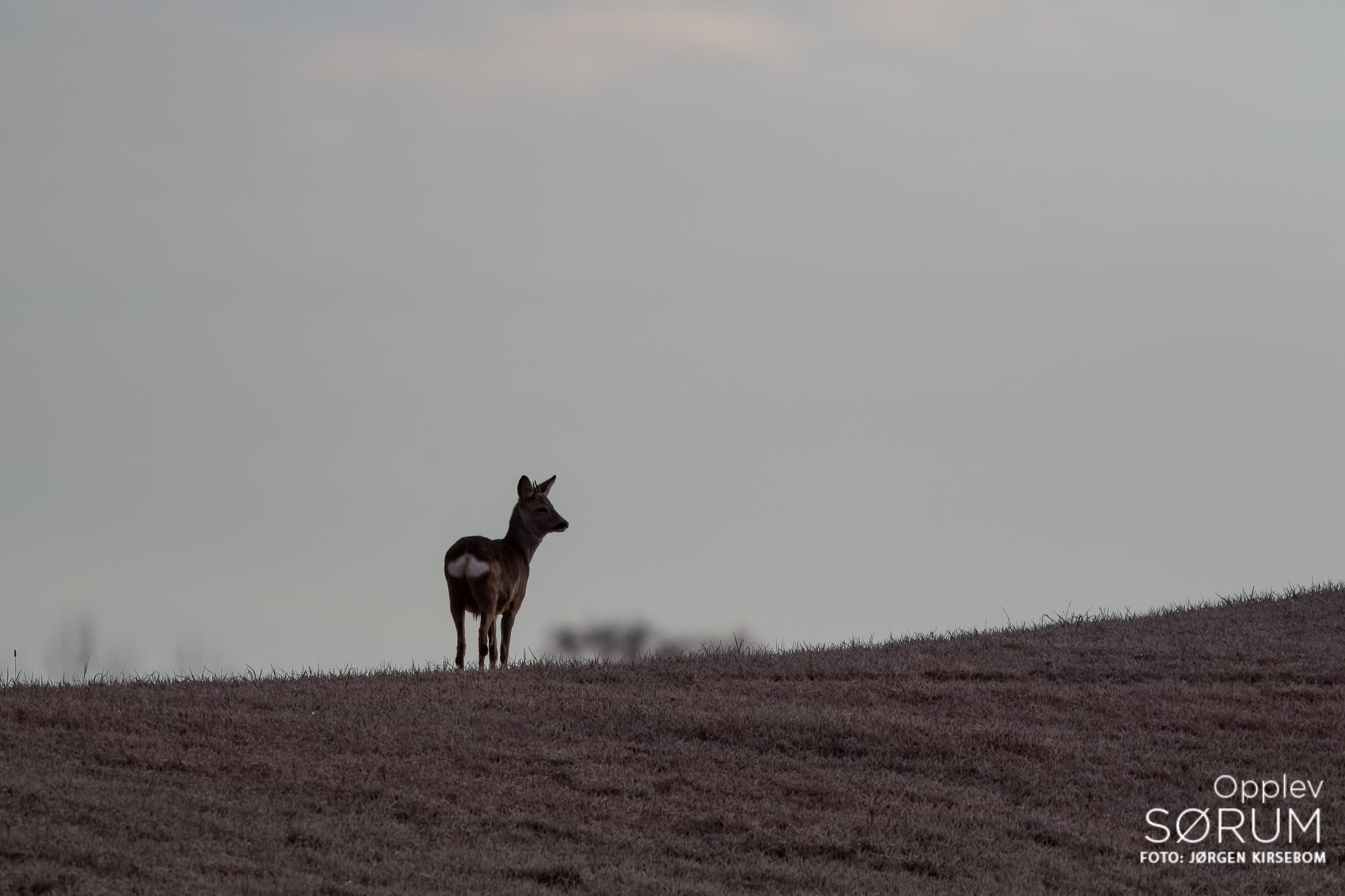 natur-november42