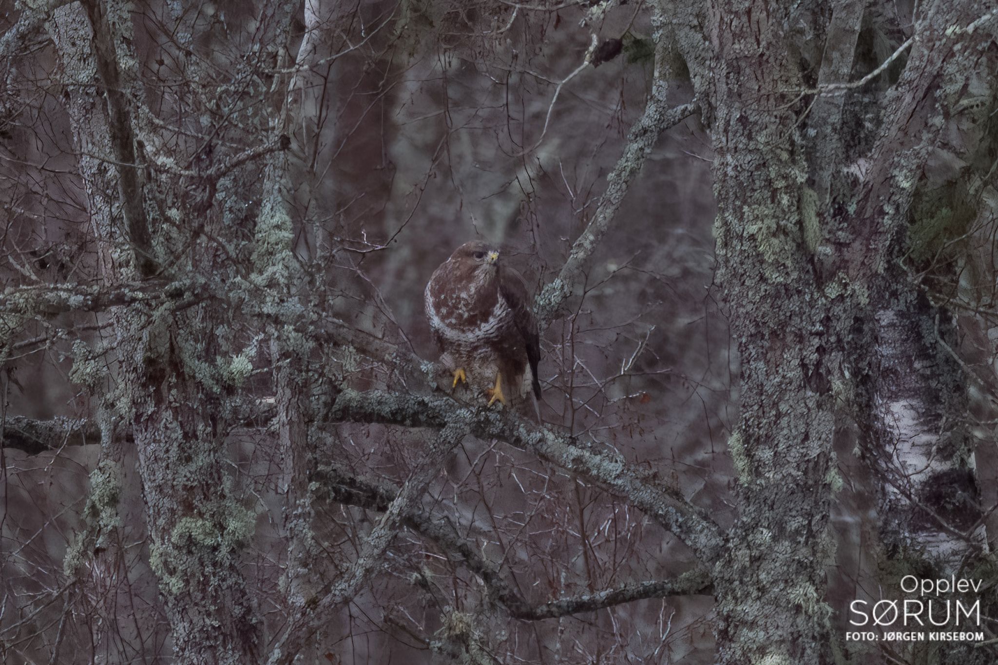 natur-november47