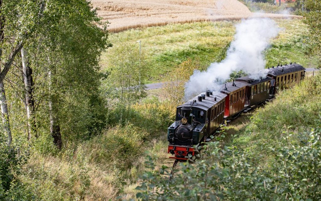 Skrekkblandet fryd på Tertitten